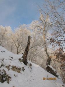 طبیعت گرگان