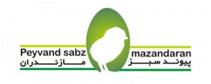 تولید جوجه یک روزه