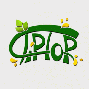 tip-top