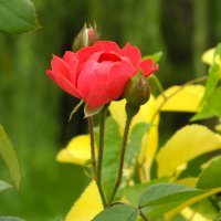 عکس هایی که میگیرم