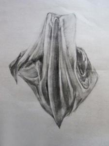 پارچه - کنته