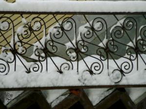 photo4