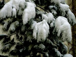 photo6