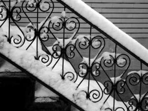 photo7