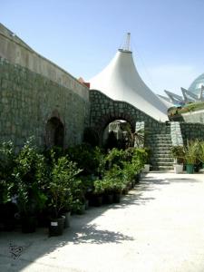 photo10