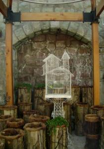 photo11
