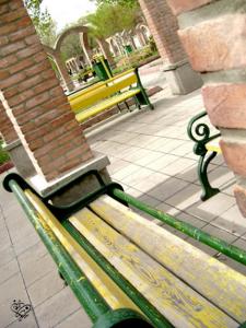 photo12
