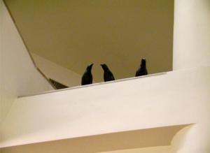 photo13