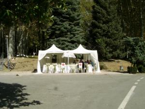 photo7