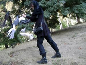 photo11
