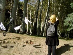 photo20