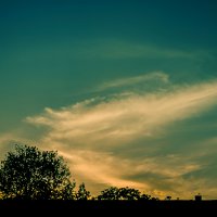 متفرقه 3