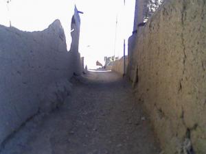 کوچه های بی کسی