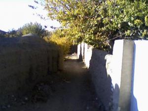 دیوارها