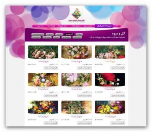 صفحه محصولات