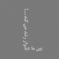 سایر
