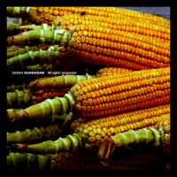 تجربیاتم با FujiFilm S200EXR