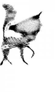 گربه سارومان