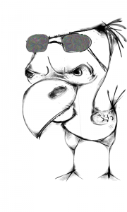 طوطی پر رو