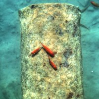 زیبایی های طبیعت