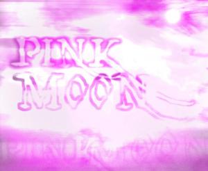 Pinkmoon