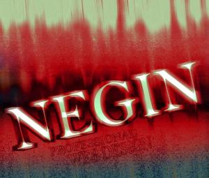 NEgin2