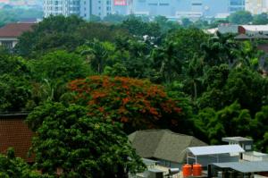 Jakarta