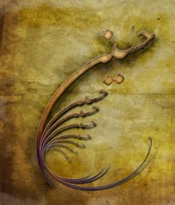 حسین