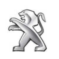 تاریخچه شیر معروف