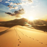 تور یک روزه عکاسی