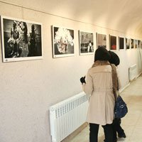 نمایشگاه عکس های گرانتر از طلا