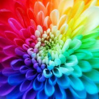 نویسنده بهاریه امسال باشید