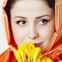 پریسا وکیلی
